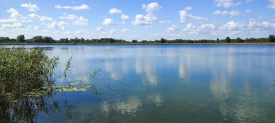 Локальний Дайвінг