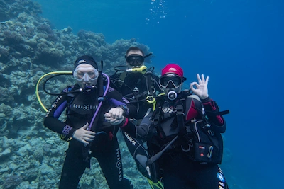  divers skills